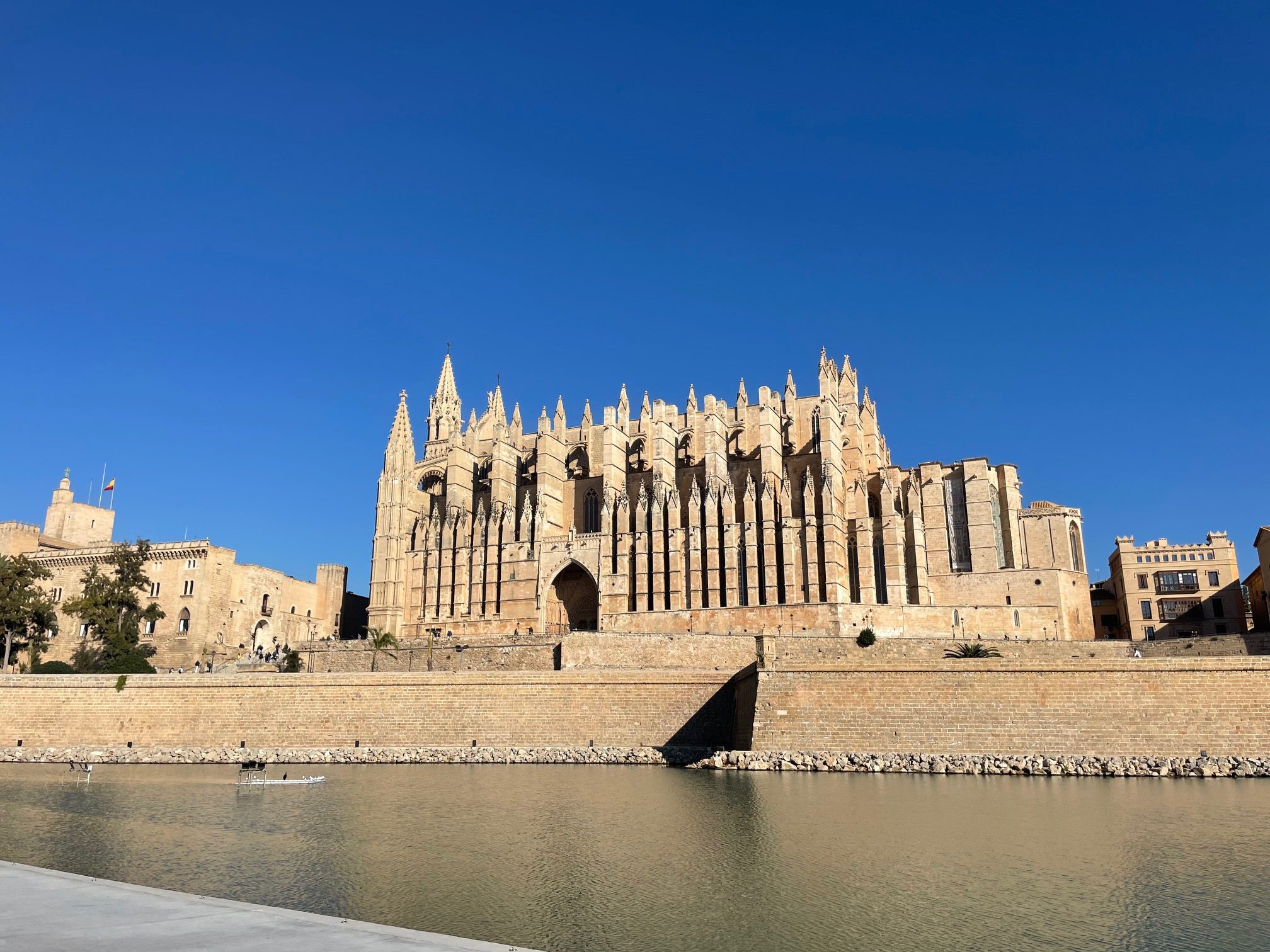 palma tour